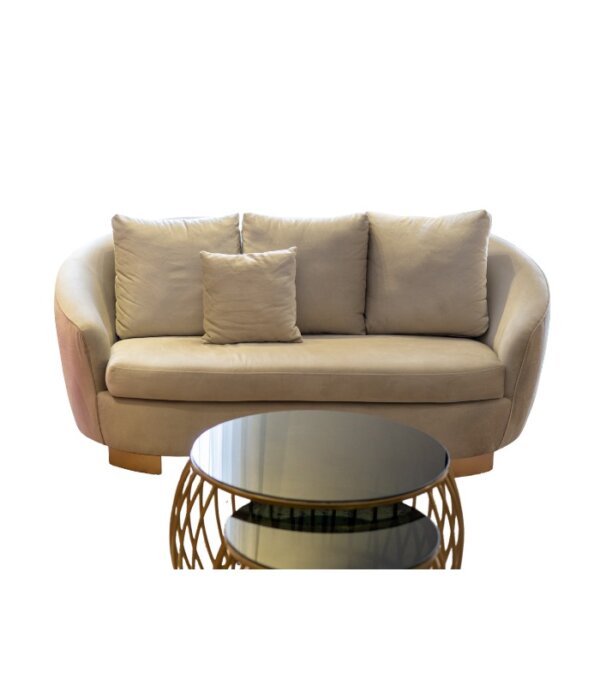 ZD Sofa 2S