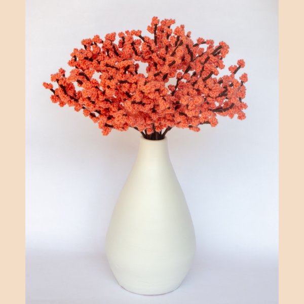 Gypsophila Celebration