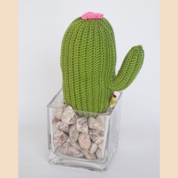 Cubic Long Cactus-Pink