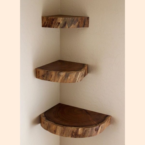 Trunk shelves