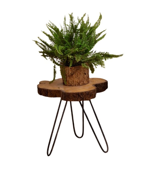 Sisso side table