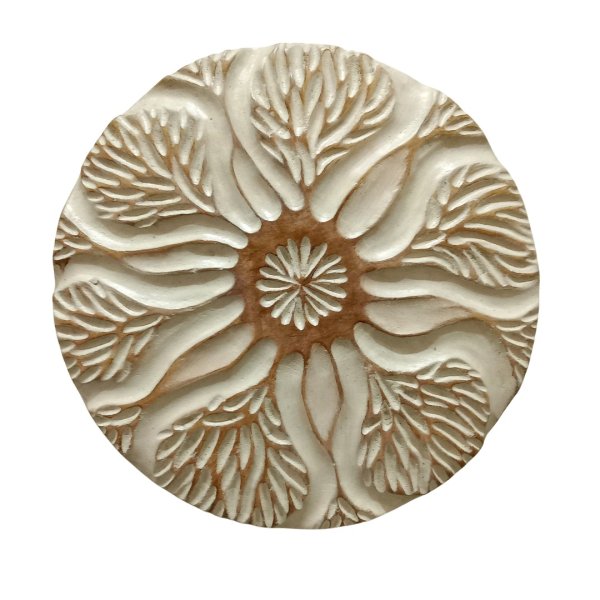 Fossils 2