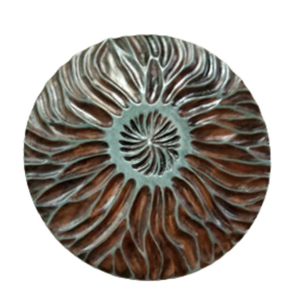 Fossils D2